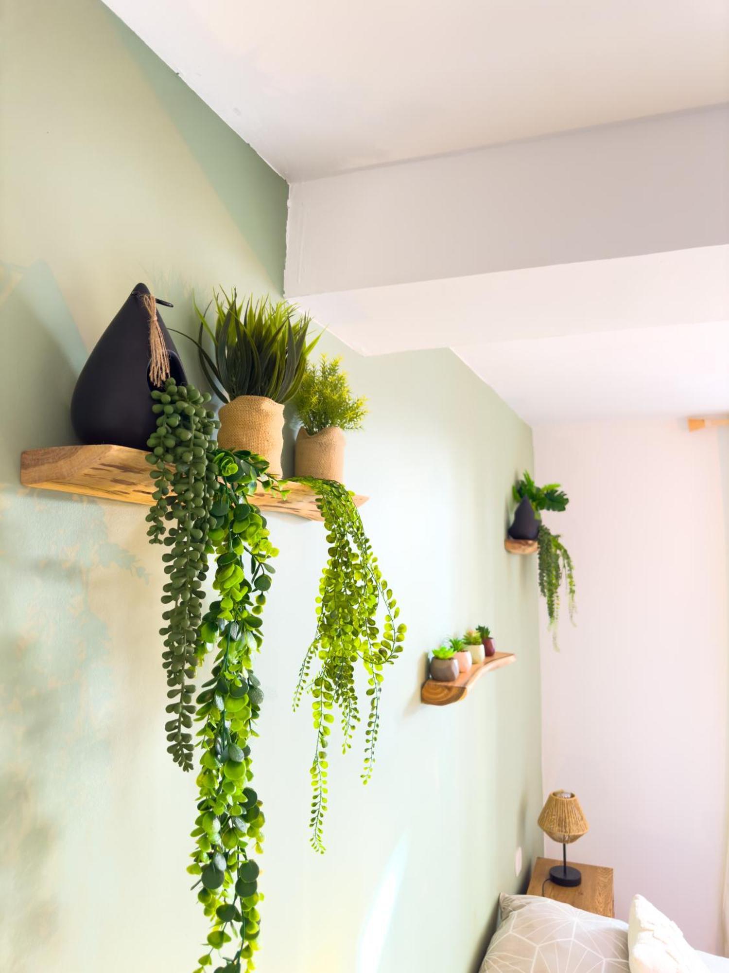 Le Patio ※ Carnot Apartman Carcassone Kültér fotó